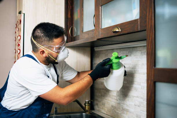 Reliable Snohomish, WA Pest Control Solutions