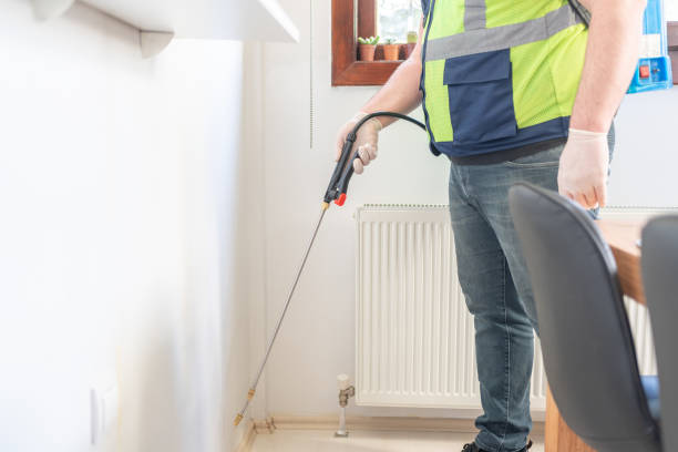 Best Local Pest Control Services  in Snohomish, WA