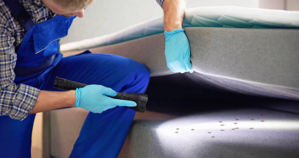 Best Flea Control Services  in Snohomish, WA